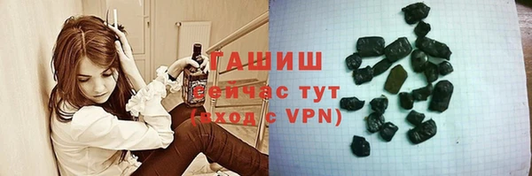 a pvp Бородино