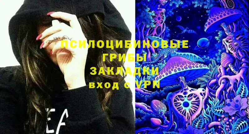 Псилоцибиновые грибы Cubensis  Ивантеевка 